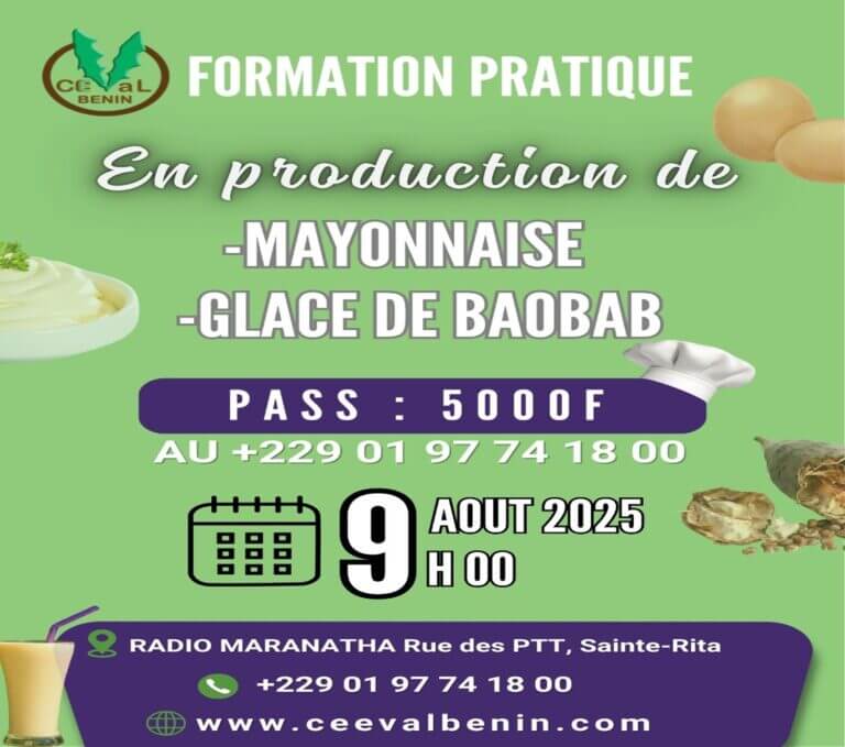 Former pour transformer : CEEVAL BENIN valorise la glace de baobab et la mayonnaise artisanale