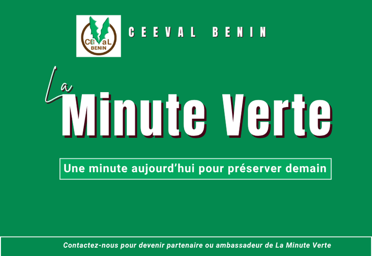 La MINUTE VERTE, Une minute pour comprendre. Un geste pour agir. Un impact pour demain.