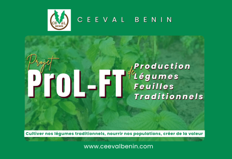 ProL-FT (Production de Légumes-Feuilles Traditionnels) : Cultiver nos légumes traditionnels, nourrir nos populations, créer de la valeur.