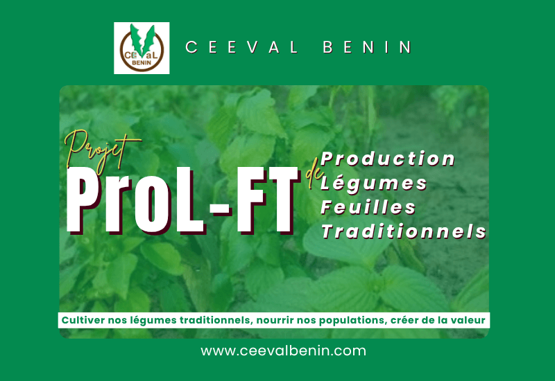 ProL-FT (Production de Légumes-Feuilles Traditionnels) : Cultiver nos légumes traditionnels, nourrir nos populations, créer de la valeur.
