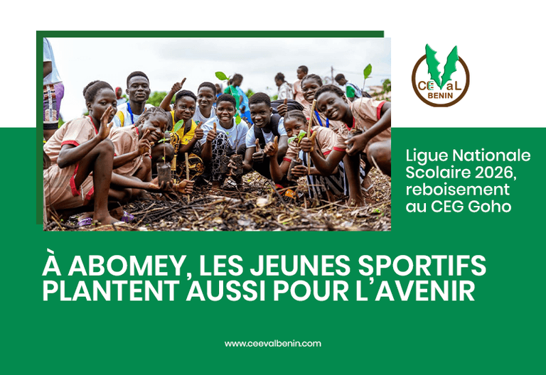 À Abomey, les jeunes sportifs plantent aussi pour l’avenir