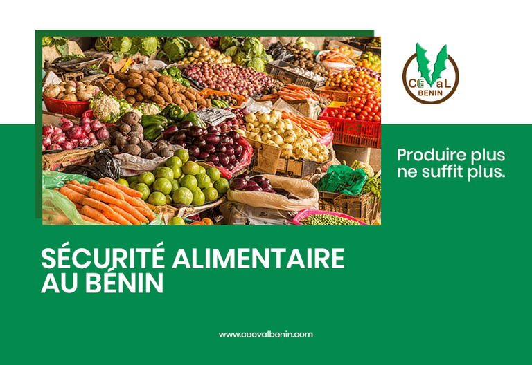 Sécurité alimentaire au Bénin : produire plus ne suffit plus