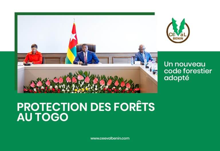Togo : un nouveau code forestier adopté pour mieux protéger les forêts