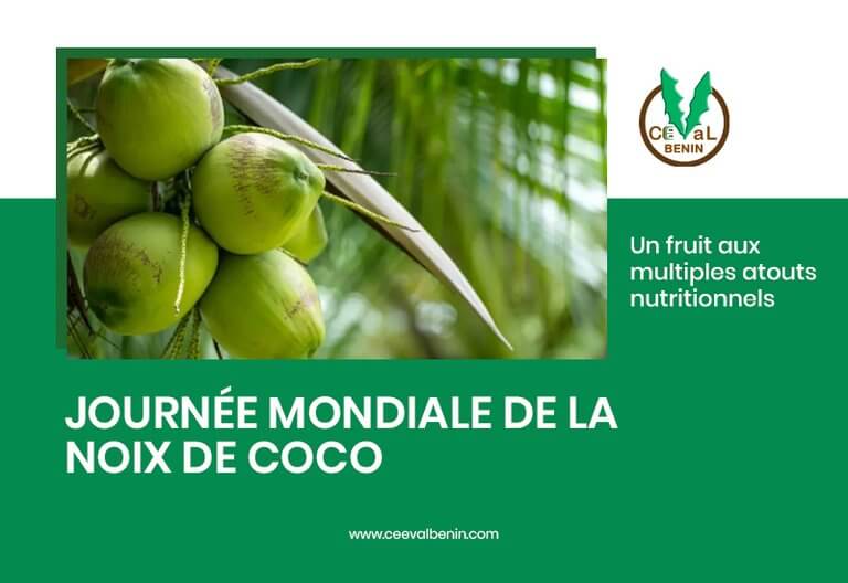 Journée mondiale de la noix de coco : un fruit aux multiples atouts nutritionnels