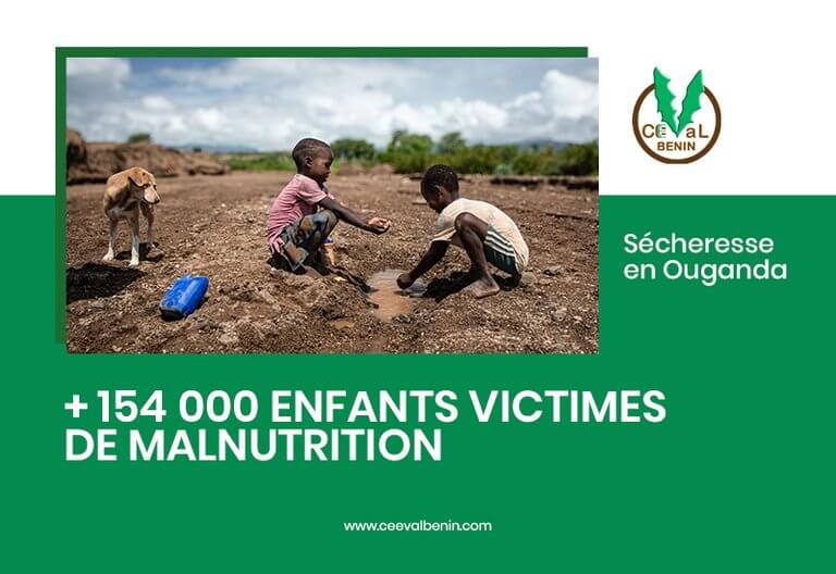 Sécheresse en Ouganda : plus de 154 000 enfants victimes de malnutrition