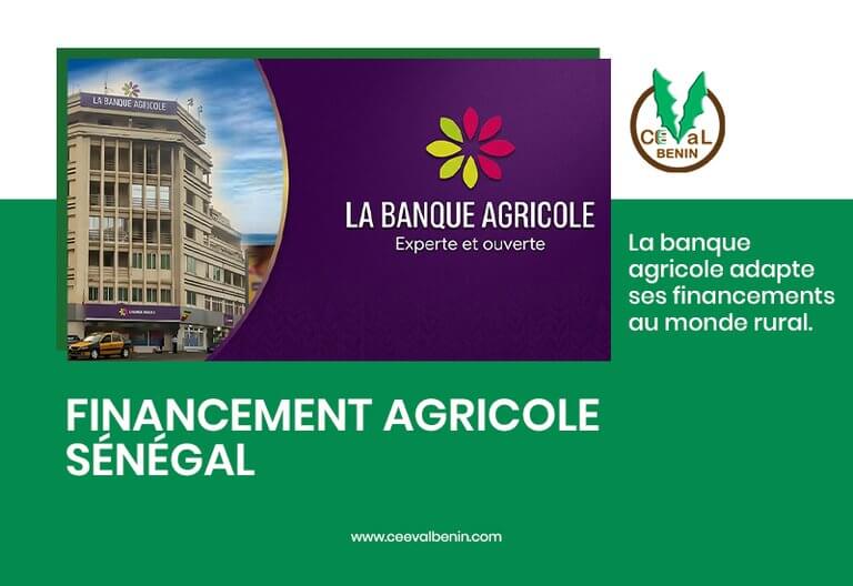 Sénégal : la Banque Agricole mise sur des financements adaptés au monde rural
