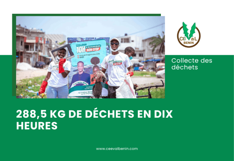 Bénin : Anas Seko et Fèmi MD collectent 288,5 kg de déchets en dix heures