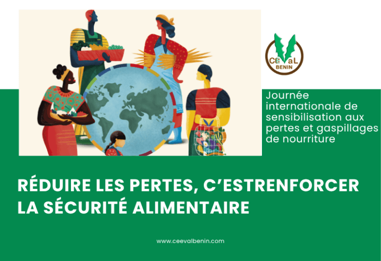 PERTES ET GASPILLAGE ALIMENTAIRES : Réduire les pertes pour mieux nourrir le monde, une analyse de CEEVAL BENIN