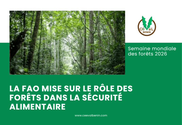 Semaine mondiale des forêts 2026