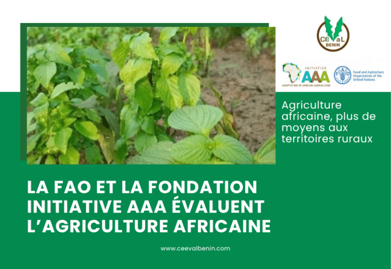 Climat : l’agriculture africaine face au défi du financement de la résilience