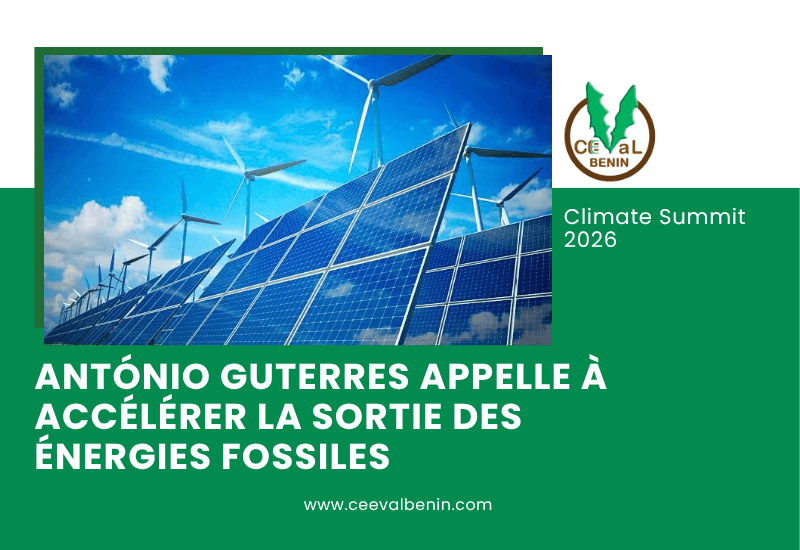 Énergies renouvelables : l’IRENA appelle à accélérer la transition d’ici 2030