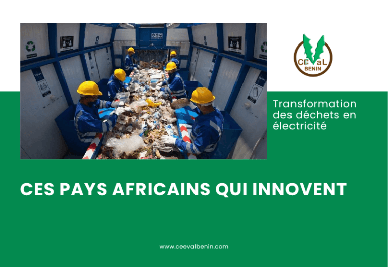 Transformation des déchets en électricité : ces pays africains qui innovent