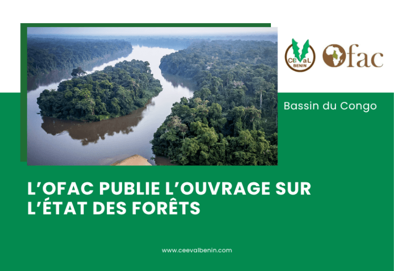 Bassin du Congo : l’état des forêts contenu dans un ouvrage