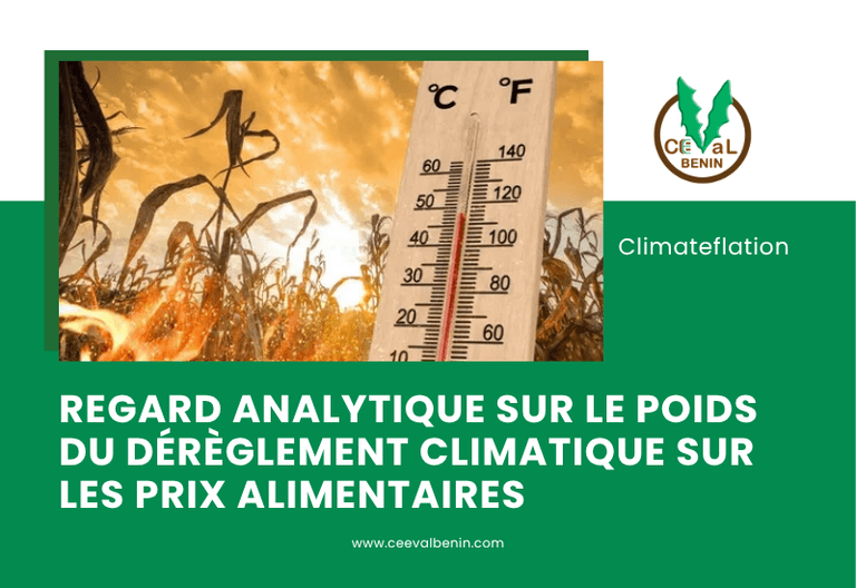 Climateflation : quand le dérèglement climatique commence à peser sur les prix alimentaires