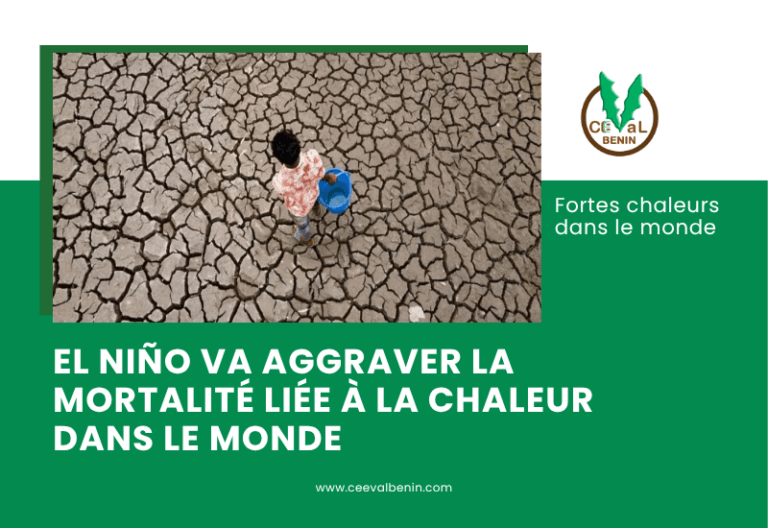 Réchauffement climatique : El Niño va aggraver la mortalité liée à la chaleur