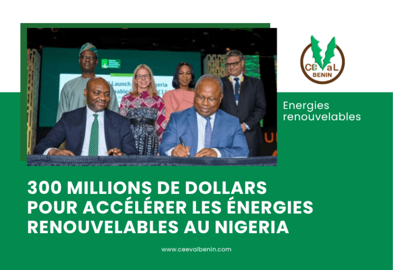 Nigeria : un fonds de 300 millions de dollars pour accélérer les énergies renouvelables