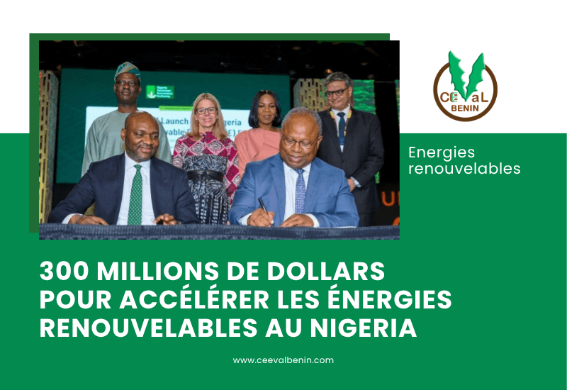 Nigeria : un fonds de 300 millions de dollars pour accélérer les énergies renouvelables