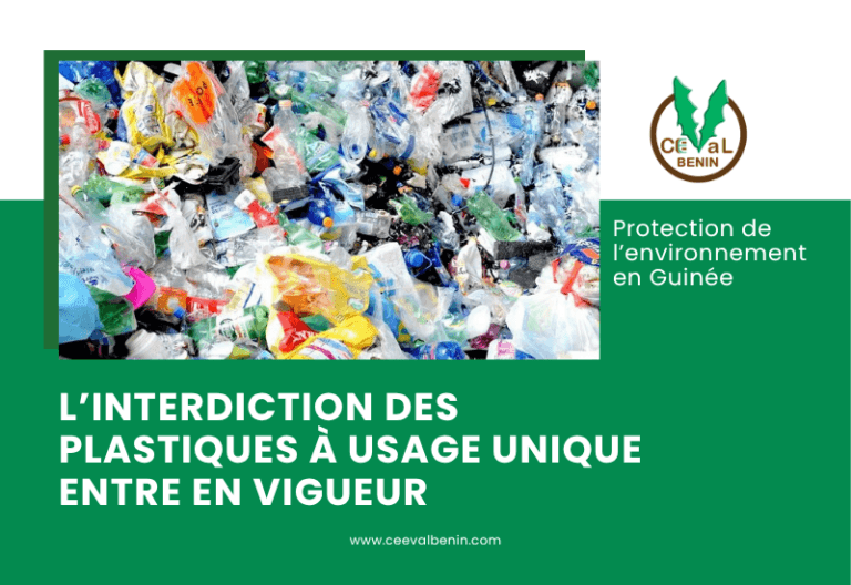 Guinée : l’interdiction des plastiques à usage unique entre en vigueur