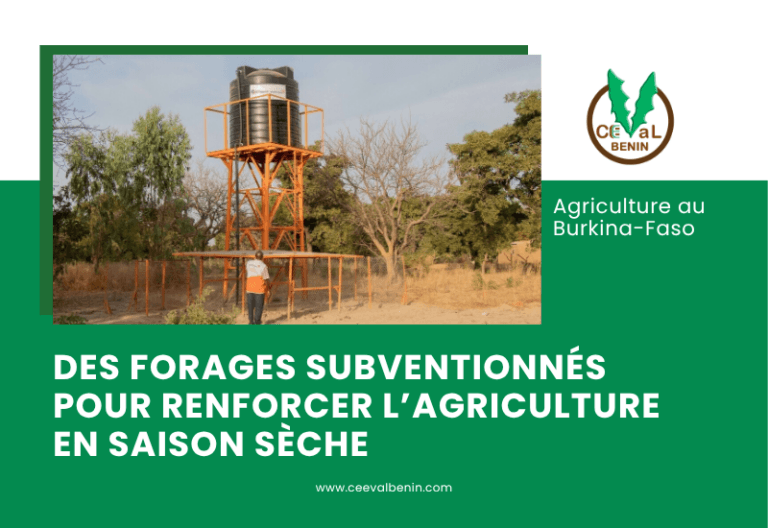 Burkina Faso : des forages subventionnés pour renforcer l’agriculture en saison sèche