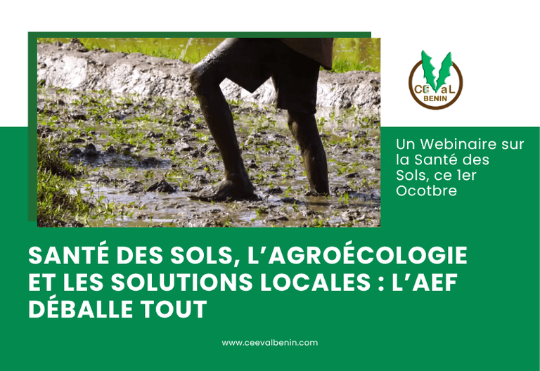 Santé des sols : l’agroécologie au cœur d’un webinaire sur la résilience climatique