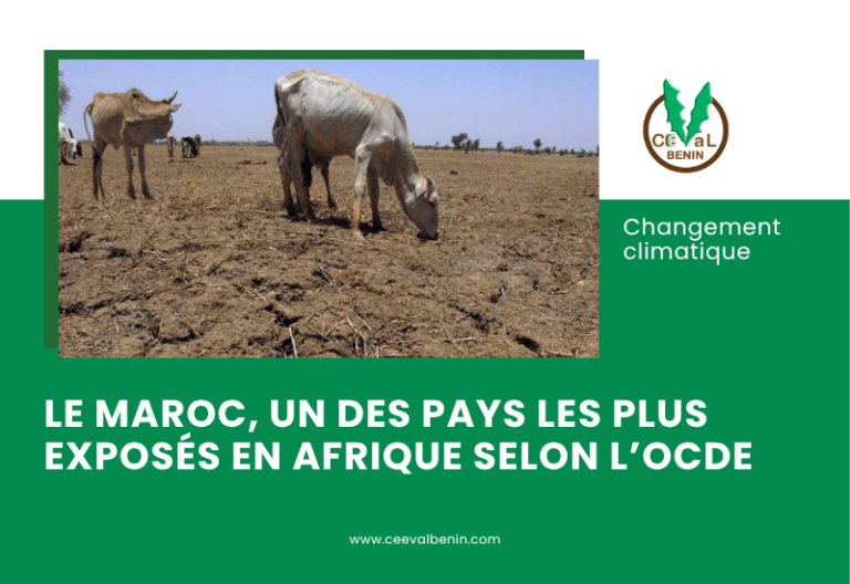 Changement climatique : le Maroc parmi les pays africains les plus exposés, selon l’OCDE