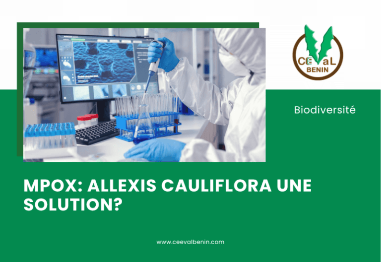 Mpox : des chercheurs camerounais explorent le potentiel antiviral d’une plante locale