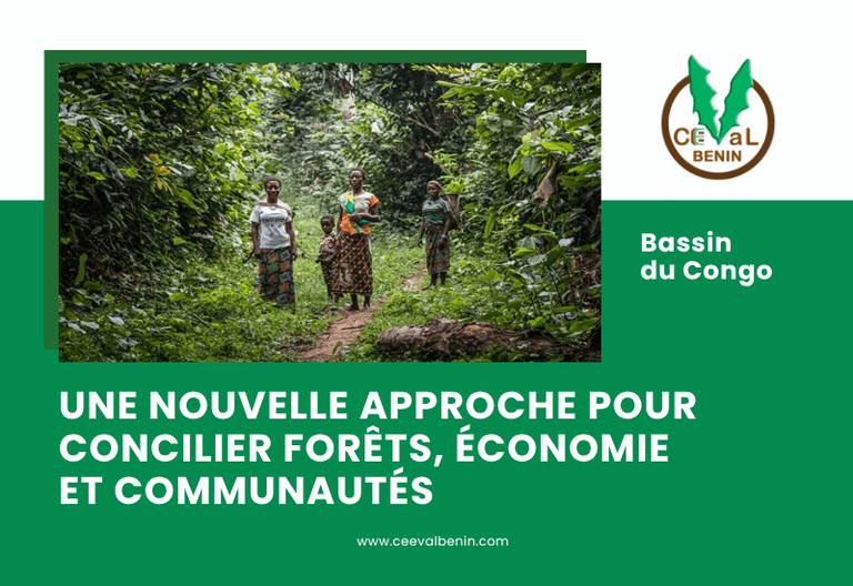 Bassin du Congo : une nouvelle approche pour concilier forêts, économie et communautés