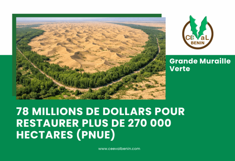 Grande Muraille Verte : 78 millions de dollars pour restaurer les terres dégradées en Afrique
