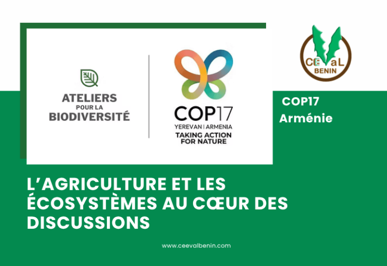 17ᵉ édition de la COP : à Erevan, le monde attendu au tournant de ses promesses écologiques