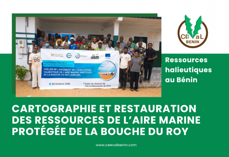 Ressources halieutiques au Bénin : la recherche scientifique renforce la gestion durable des pêcheries